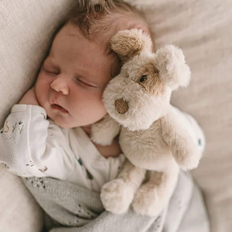 Nana Huchy Buddy the Dog Rattle