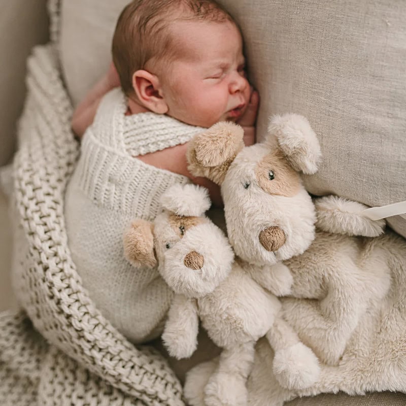 Nana Huchy Buddy the Dog Rattle - Image 2