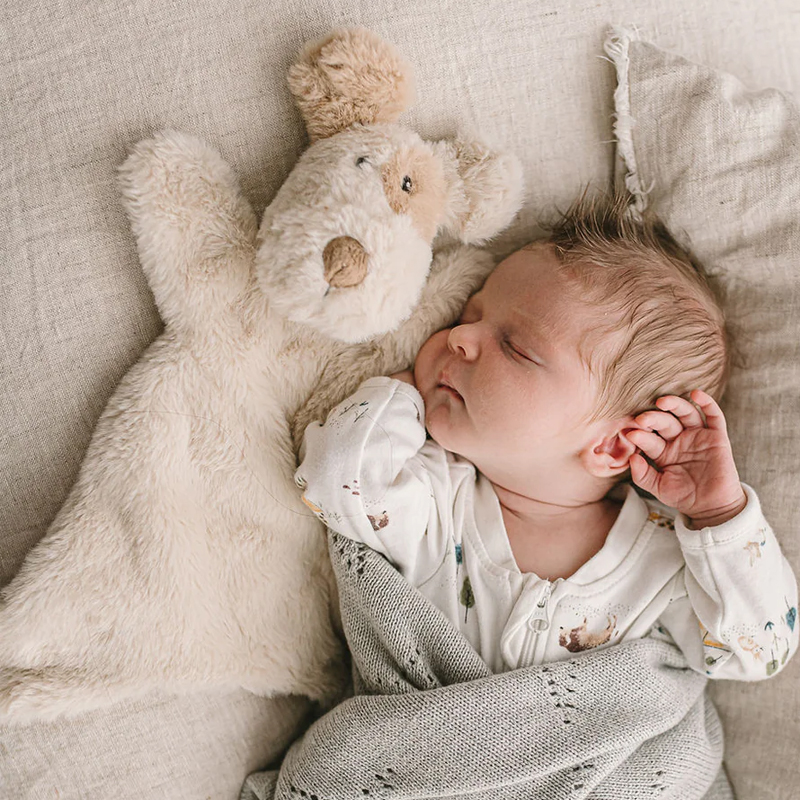 Nana Huchy Buddy the Dog Hoochy Coochie