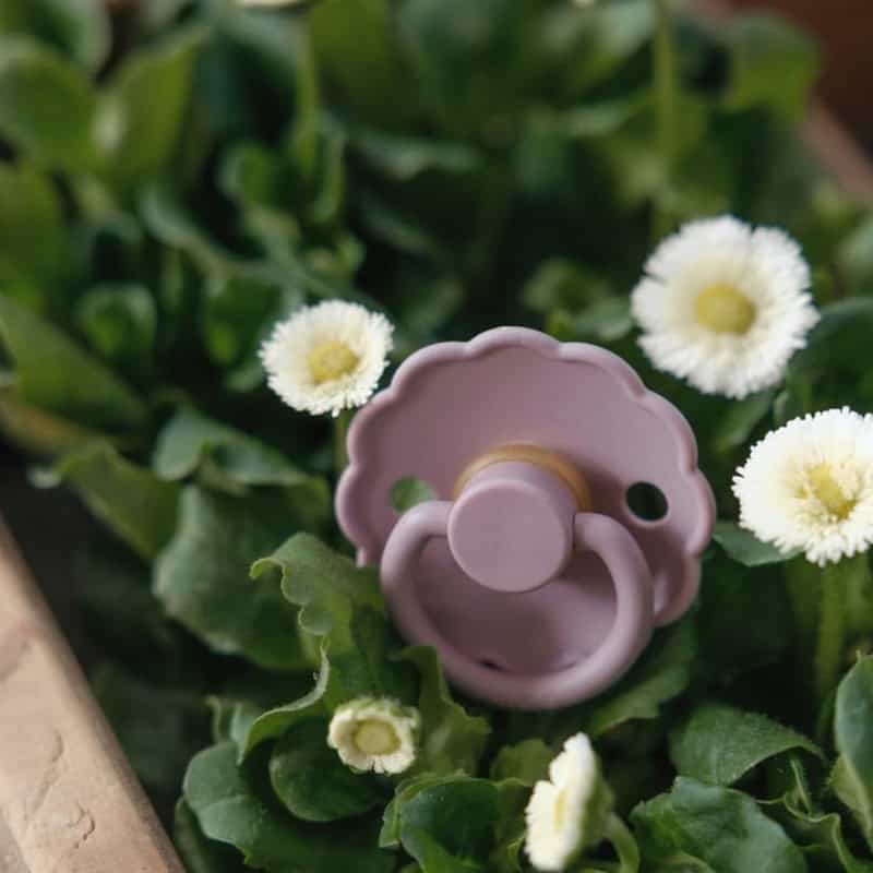 FRIGG Pacifier 2 Pack Latex Daisy - Image 4